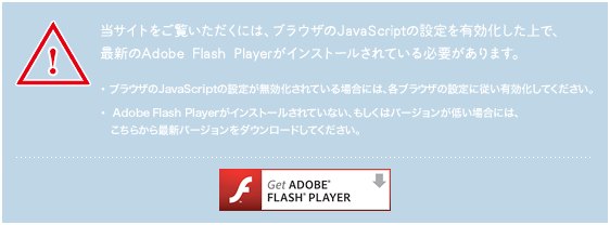 Get Adobe Flash Player